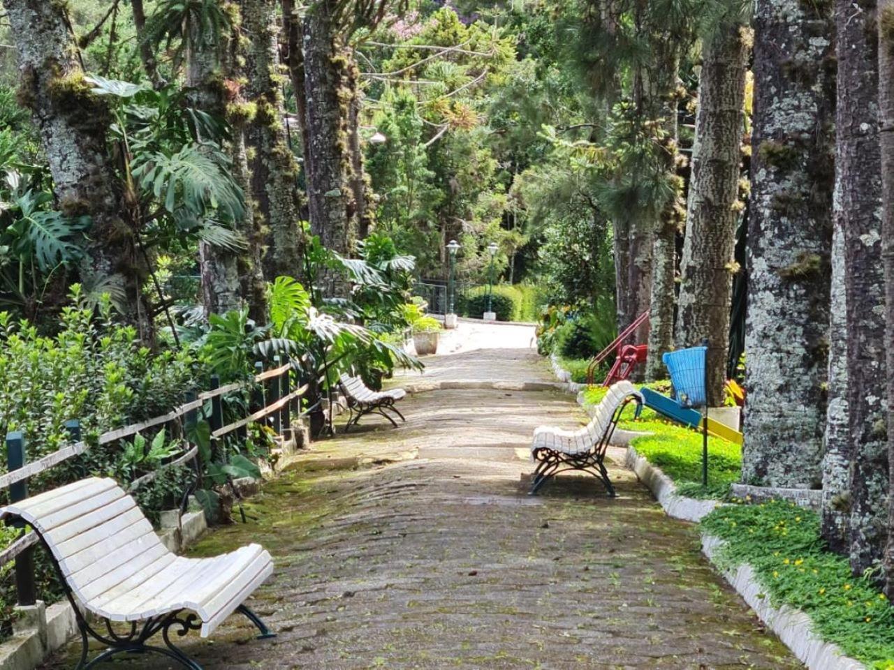 Hotel Bucsky Nova Friburgo Dış mekan fotoğraf